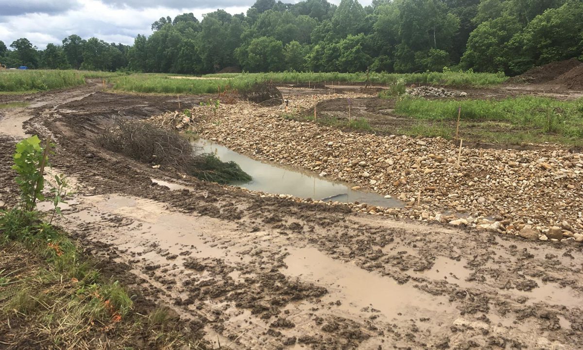 TNC Strait Creek Restoration Project RiverReach Construction