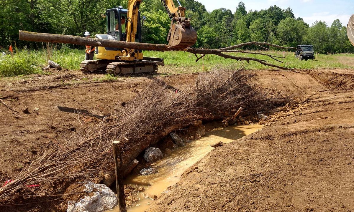 TNC Strait Creek Restoration Project RiverReach Construction